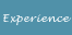 Experience
