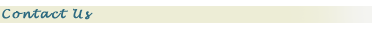 Contact Us